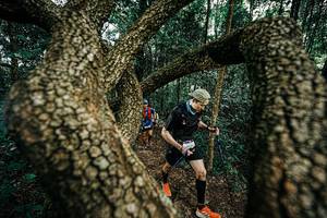 BIB: 
                            <button type="button" onclick="openModal(25393940)" class="btn btn-primary btn-sm float-right btn-popup" data-toggle="modal" data-target=".modal-high-quality">
                        <i class="fas fa-shopping-cart"></i> Add to Cart
                    </button>
                                            <button type="button" onclick="isThisMe(25393940, true)" class="btn btn-success btn-sm float-right btn-popup btn-isme hidden" data-toggle="tooltip" data-placement="bottom" title="นี่คือรูปของคุณใช่ไหม คลิกที่นี่เพื่อเอาเข้าอัลบั้ม">
                        <i class="fas fa-plus"></i> Add to album
                    </button>
                    <button type="button" onclick="isThisMe(25393940, false)" class="btn btn-warning btn-sm float-right btn-popup btn-isnotme hidden">
                        <i class="fas fa-ban"></i> Remove from album
                    </button>